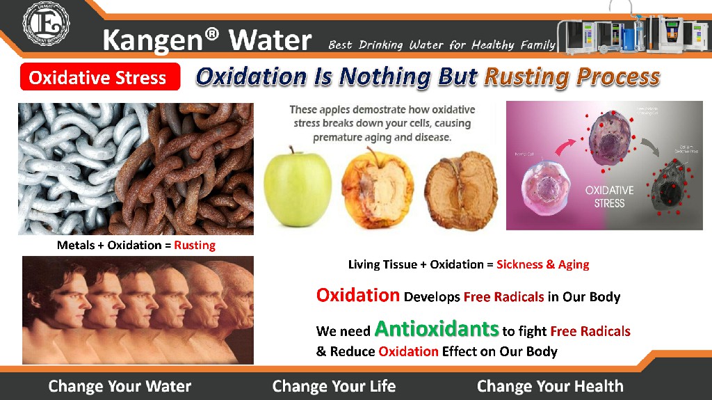 Kangen Water - Alkaline Water Purifier