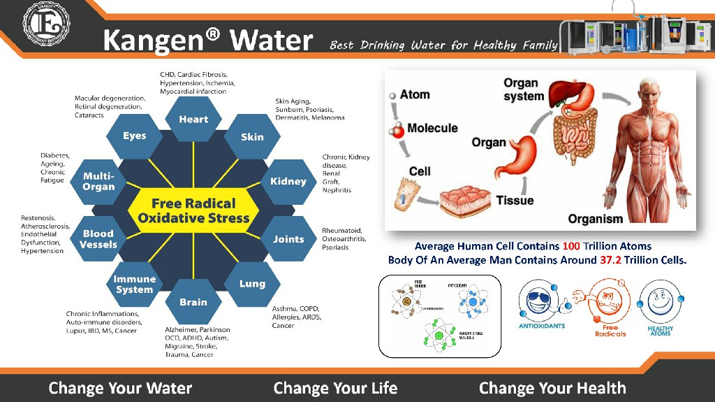 Kangen Water - Alkaline Water Purifier