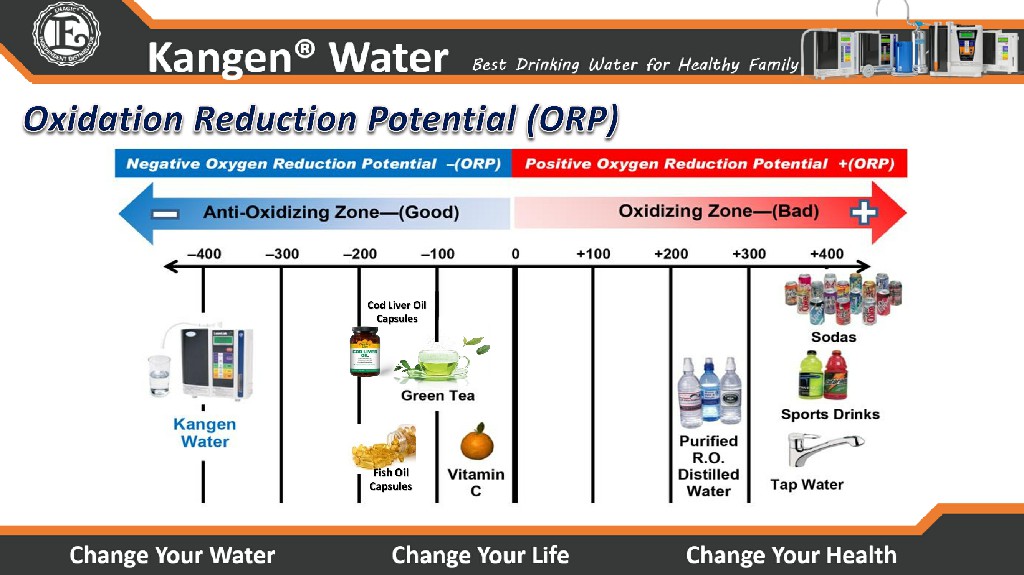 Kangen Water - Alkaline Water Purifier