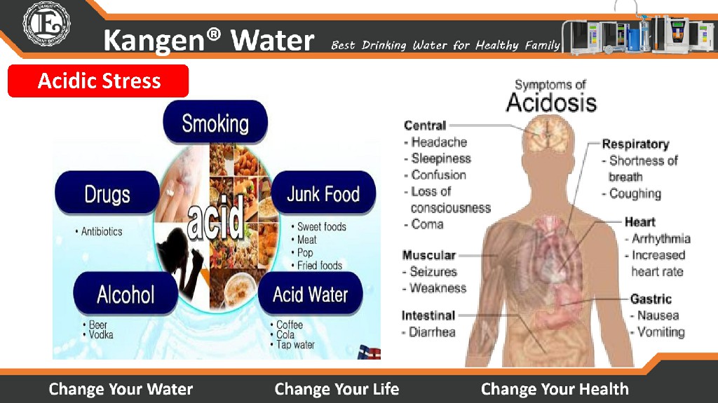 Kangen Water - Alkaline Water Purifier