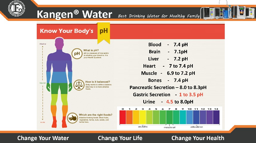 Kangen Water - Alkaline Water Purifier