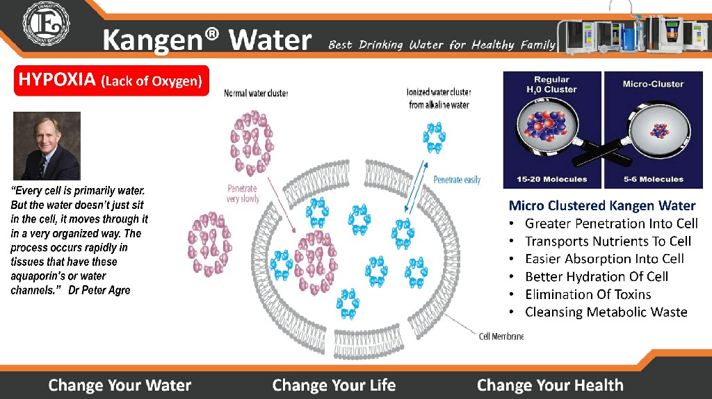 Kangen Water - Alkaline Water Purifier