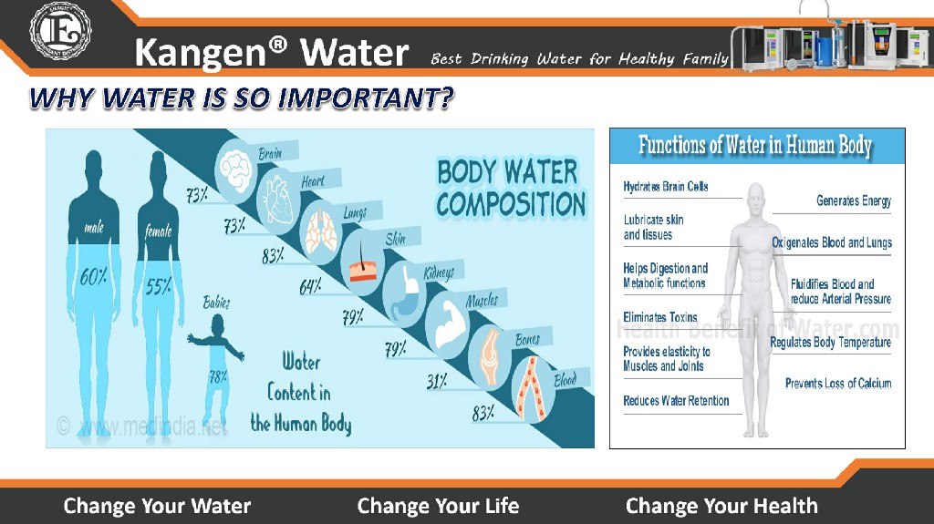 Kangen Water - Alkaline Water Purifier