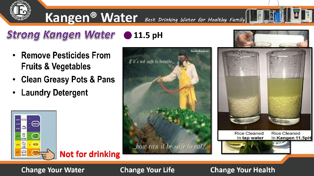 Kangen Water - Alkaline Water Purifier
