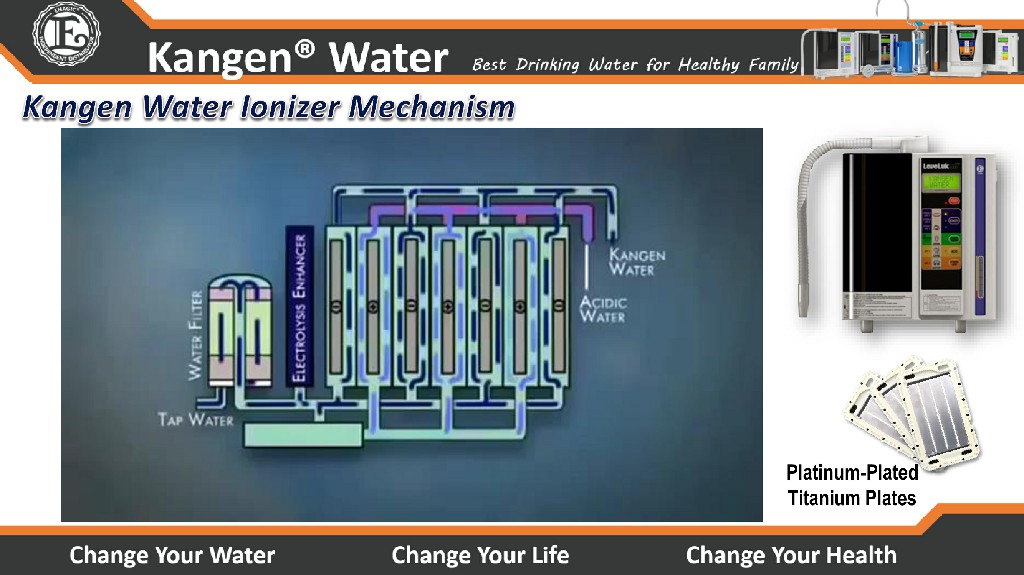 Kangen Water - Alkaline Water Purifier