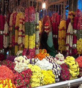 FLOWER DEALERS And DECORATORS