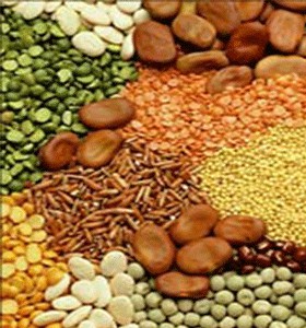 FOOD ITEMS And FOOD GRAINS