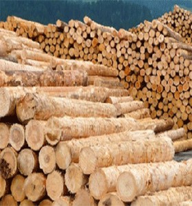 WOOD SUPPLIERS